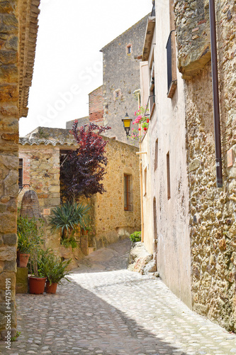 Fototapeta Naklejka Na Ścianę i Meble -  Pals: Ciudad medieval en Gerona Catalonia España
