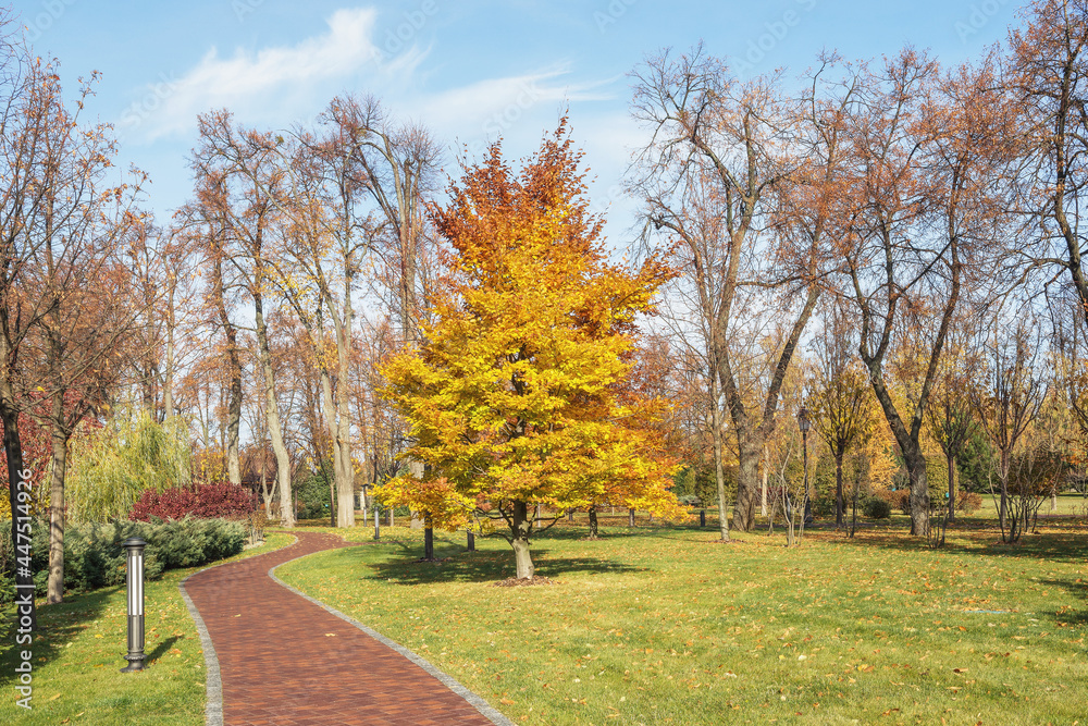 Fragment of the Mezhyhirya landscape park near Kiev, Ukraine.