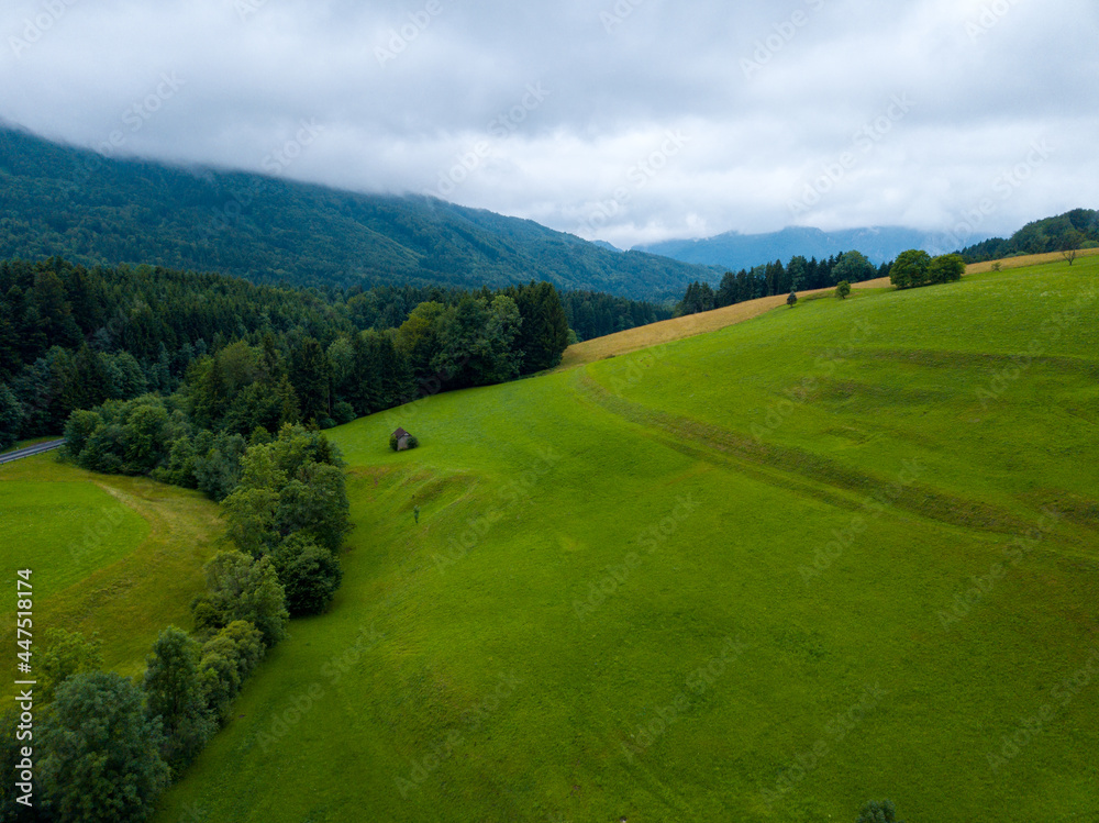 Aerial view of the green meadows in the countryside, village forest at Austria. Aerial view of the green meadows in the countryside, village forest at Austria.