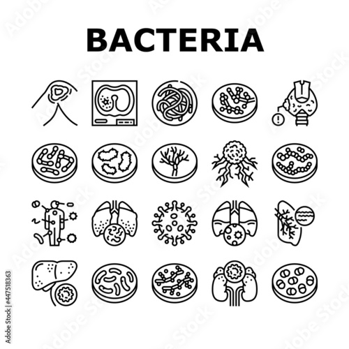 Bacteria Infection Collection Icons Set Vector. Candida Bacteria And Plague, Cancer Cell And Thyroid Disease, Cutaneous Mucormycosis And Parasit Worms Black Contour Illustrations