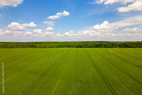 Aerial landscape view of green cultivated agricultural fields with growing crops on bright summer day.