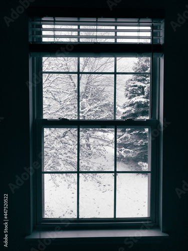 snow through the window
