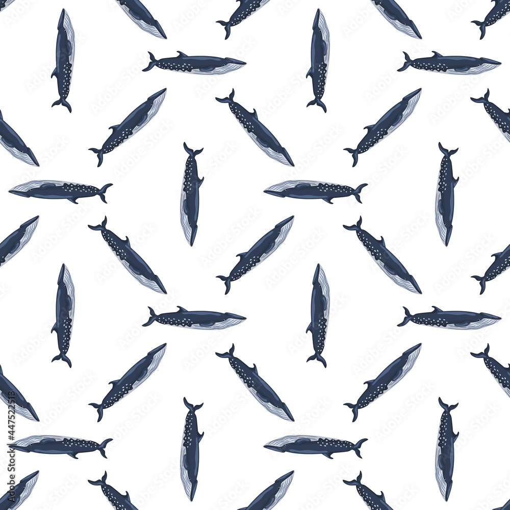 Seamless pattern sei whale on white background. Template of cartoon character of ocean for fabric. Seamless pattern sei whale on white background. Template of cartoon character of ocean for fabric.