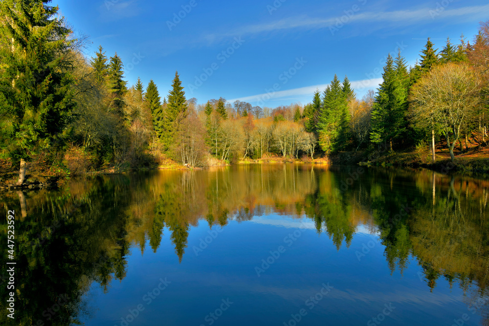 Ein herbstlicher Wald spiegelt sich im Basaltsee in der Rhön