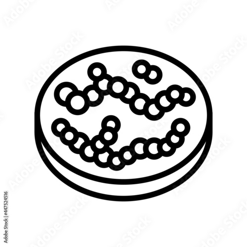 streptococcus bacteria line icon vector. streptococcus bacteria sign. isolated contour symbol black illustration photo