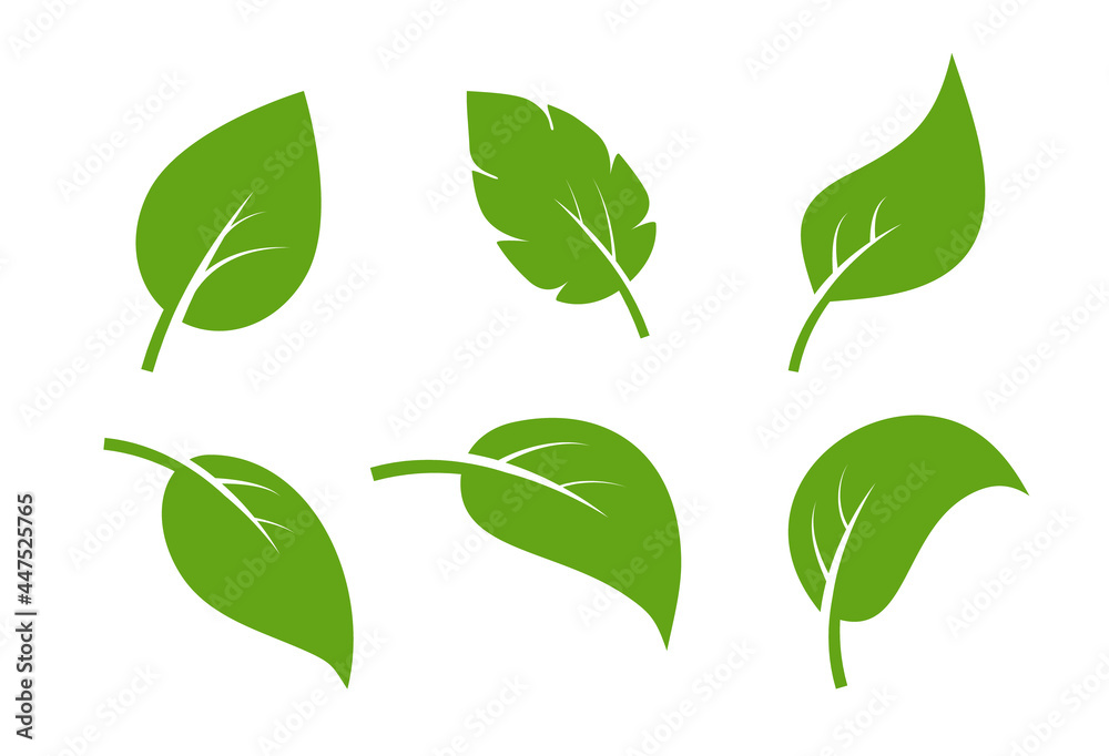 Obraz premium Leaf vector icon logo. Vegan leaves green eco flat herbal icon simple shape