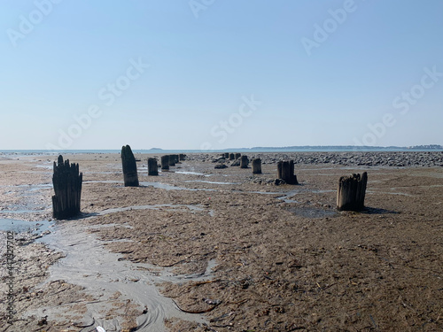 Vista de la playa y troncos de antiguo muelle que emergen de la arena