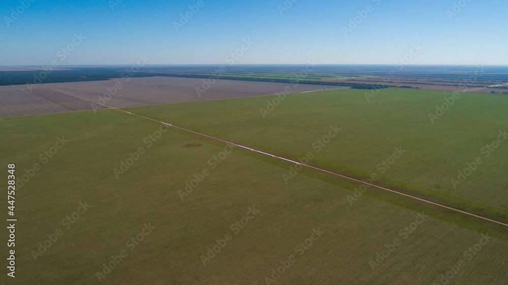 Aerial view of 4x4 pickup truck driving through wheat crops field with silos bags on the road. Argentina Aerial view of 4x4 pickup truck driving through wheat crops field with silos bags on the road. Argentina