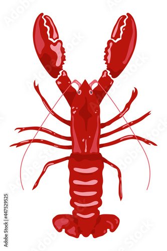 red lobster isolated on white