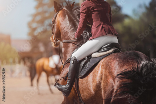 A rear view of a bay horse galloping fast with a rider in the saddle, illuminated by sunlight on a summer day. Equestrian sports. Horse riding.