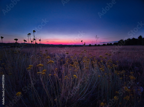 Atardecer de verano