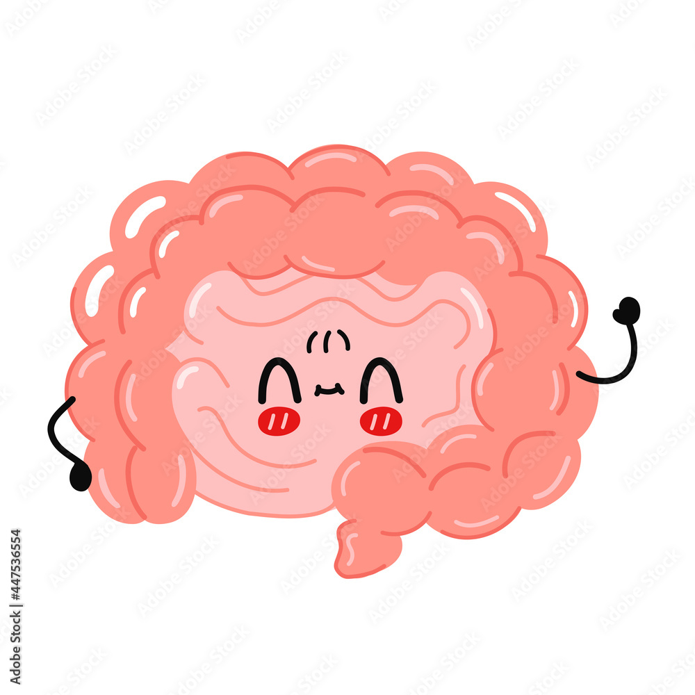 Cute funny intestine organ character. Vector hand drawn cartoon kawaii ...