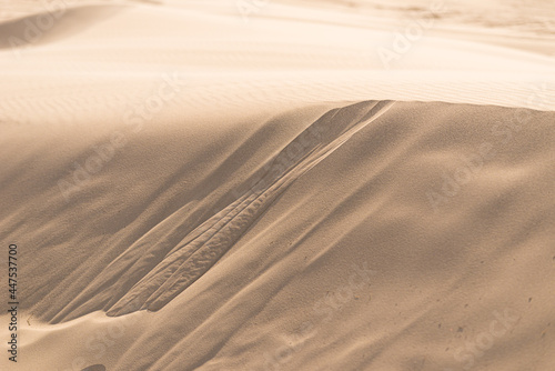 Fine texture and lines of sandy dunes in a desert.