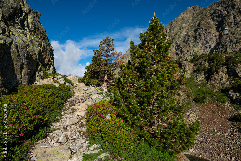 Mountain trail on the Arriel Lakes, Aragon Pyrenees, Respomuso Valley, Tena Valley, Huesca Province, Aragon, Spain