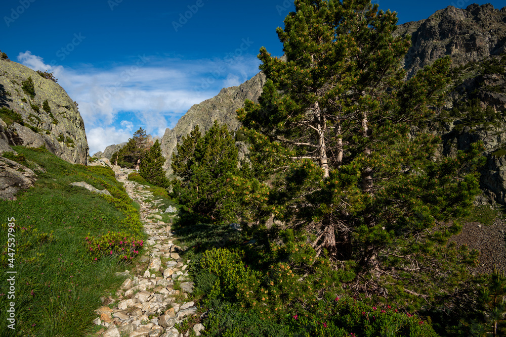 Mountain trail on the Arriel Lakes, Aragon Pyrenees, Respomuso Valley, Tena Valley, Huesca Province, Aragon, Spain