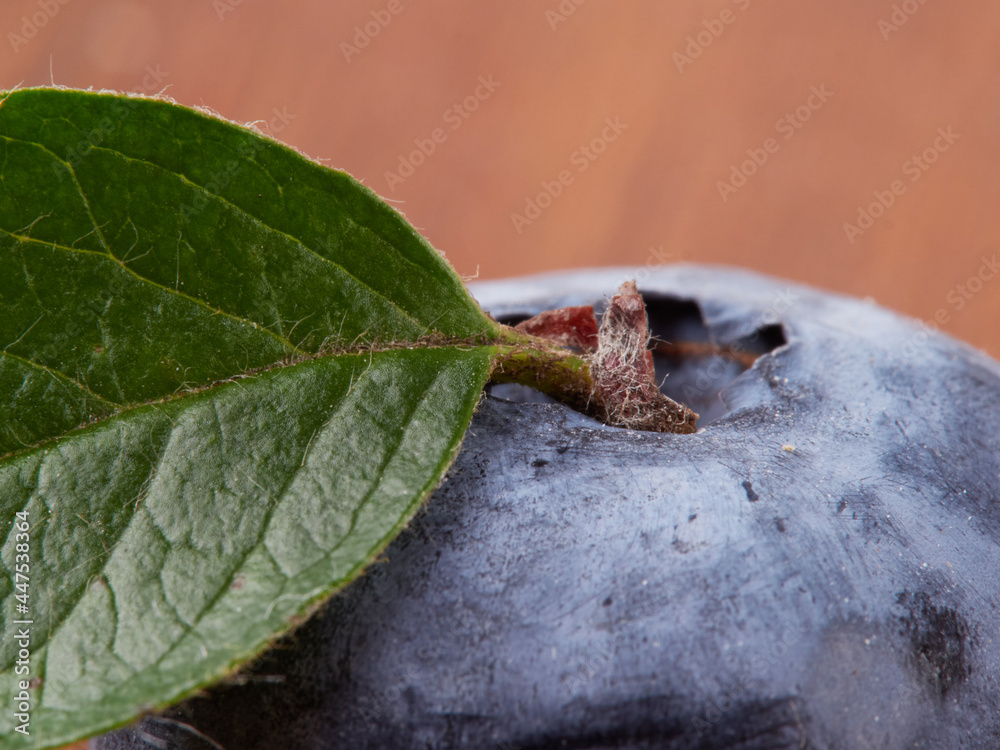 Obraz premium Blueberry fruit top view isolated on a white background, flat lay overhead layout with mint leaf, healthy design concept.