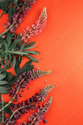 Red paper mockup for text