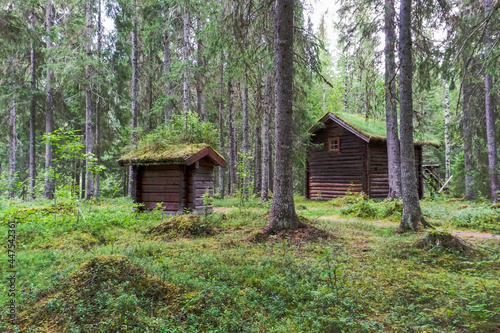 small wooden cabins with moss-covered roofs in the middle of the forest