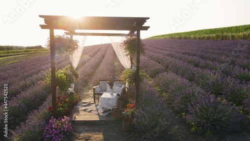 Decorative summer house on a field of purple lavender flowers planted in a row