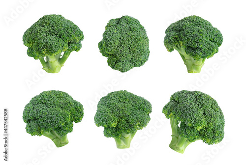 Broccoli set isolated on a white background. Fresh broccoli collection. Healthy vegetables close up.