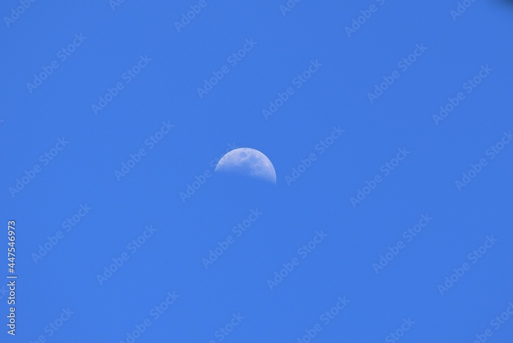 lua lua