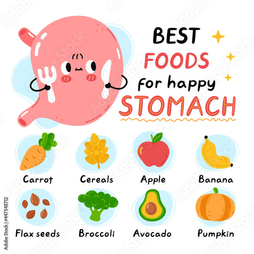 Cute stomach with fork and knife. Best foods for happy healthy stomach infographic. Vector flat doodle cartoon kawaii character illustration icon. Isolated on white background.Healthy food infographic