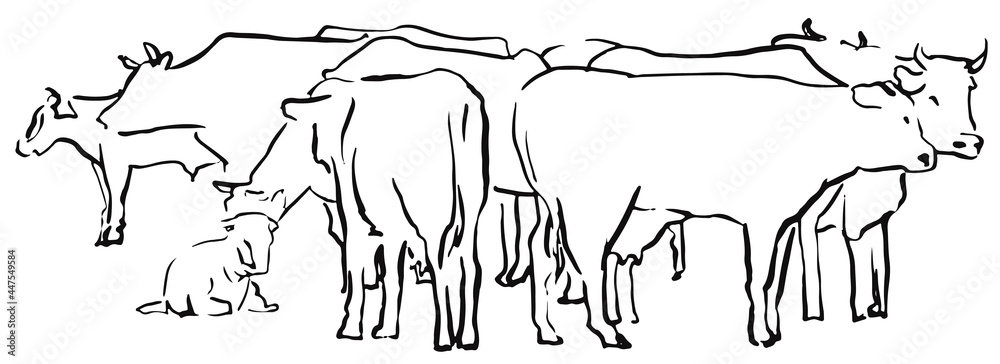 Sketcn herd of cows on meadow line hand drawn vector illustration Sketcn herd of cows on meadow line hand drawn vector illustration