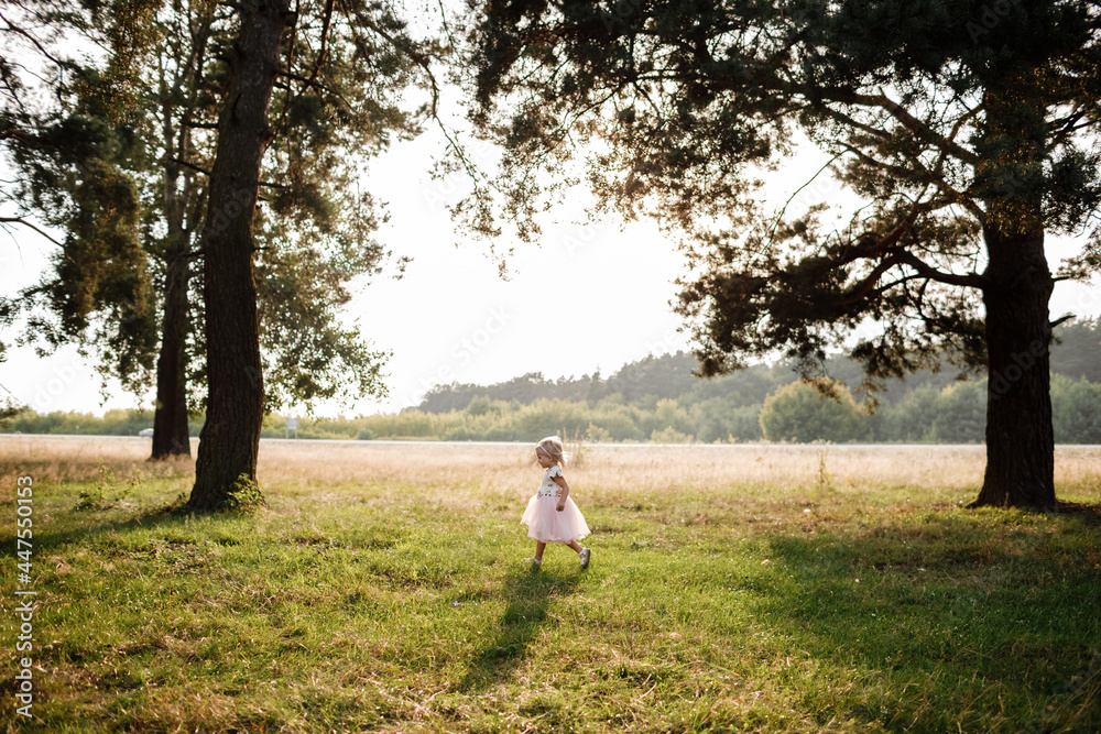 Portrait of a little beautiful girl on nature on summer day vacation. child in dress is playing in the green park at the sunset time. The concept of family holiday and time together