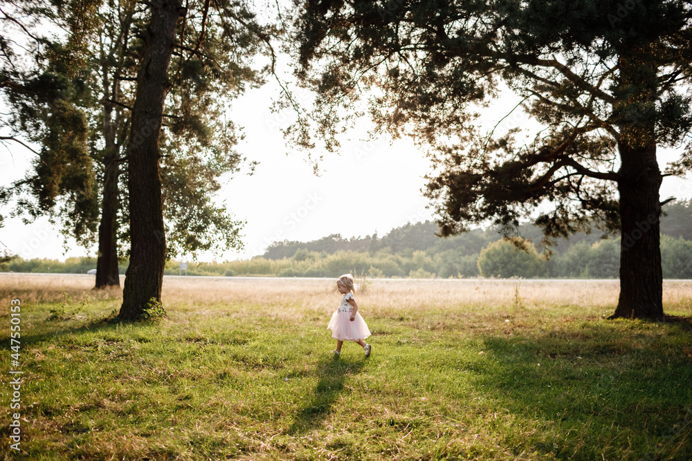 Portrait of a little beautiful girl on nature on summer day vacation. child in dress is playing in the green park at the sunset time. The concept of family holiday and time together Portrait of a little beautiful girl on nature on summer day vacation. child in dress is playing in the green park at the sunset time. The concept of family holiday and time together
