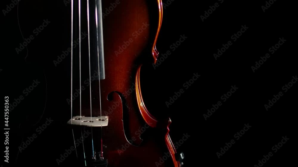 Showing the violin around in darkness, close-up. Concept of a classical musical instrument.
