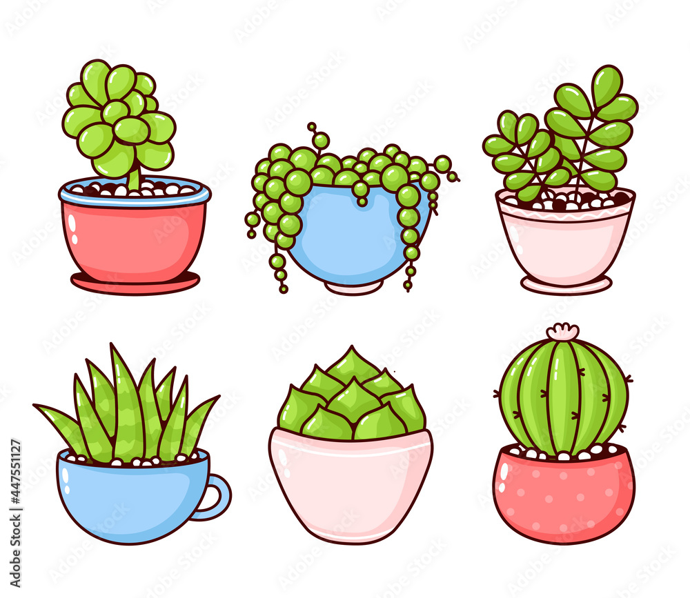 Succulents and cactus plants set collection. Vector flat cartoon illustration icon design. Succulents,cactus plants stickers bundle concept. Isolated on white background Succulents and cactus plants set collection. Vector flat cartoon illustration icon design. Succulents,cactus plants stickers bundle concept. Isolated on white background