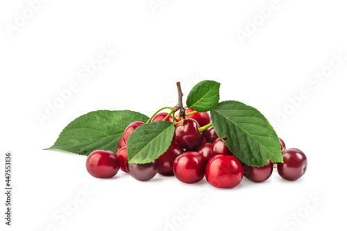 ripe cherry berries on a branch with leaves, isolate on a white background