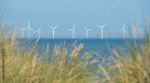 Scroby Sands Wind Farm located in the North Sea off Norfolk coast in the distance, photographed through the grassy sand dunes at Caister on Sea near  Great Yarmouth, Norfolk UK.