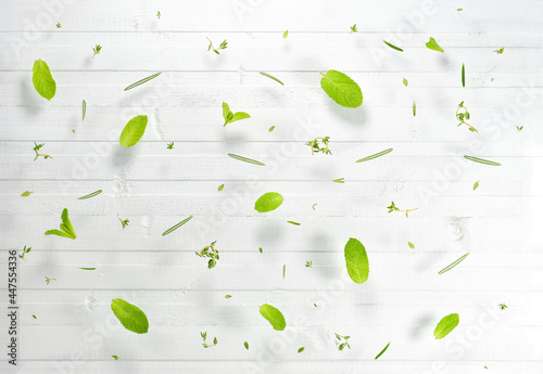 Fresh leaves of spicy plants in scattering over a white wooden background.