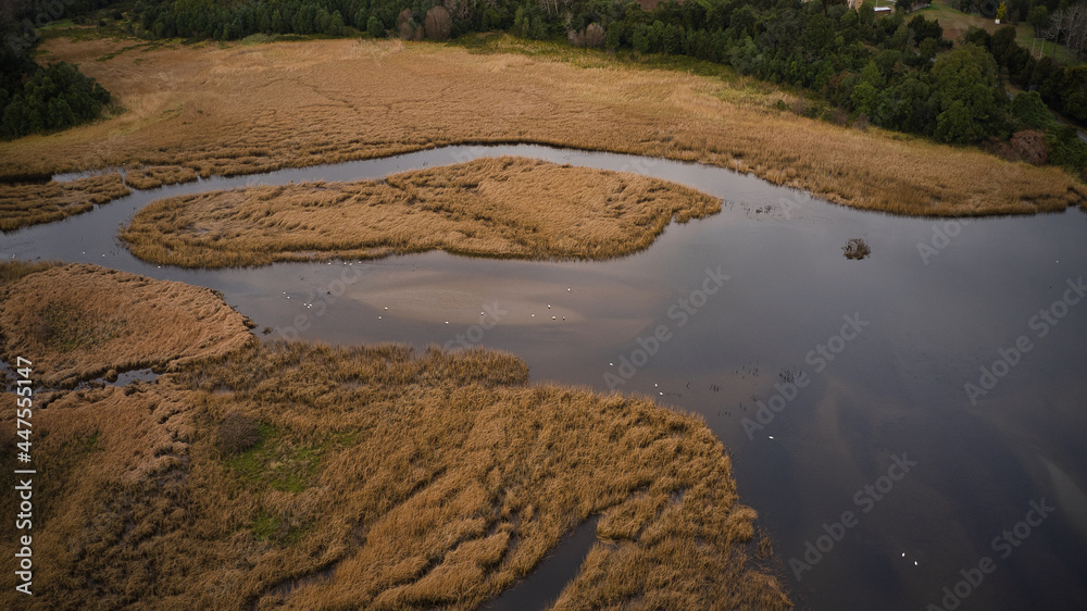 Humedal del sector de Niebla y Torobayo, este sector tiene juncos donde habitan cisnes de cuello negro y garzas.