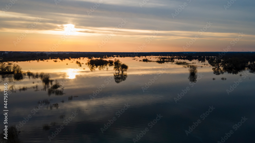 Flooded trees during a period of high water at sunset. Trees in water at dusk. Landscape with spring flooding of Pripyat River near Turov, Belarus. Nature and travel concept.