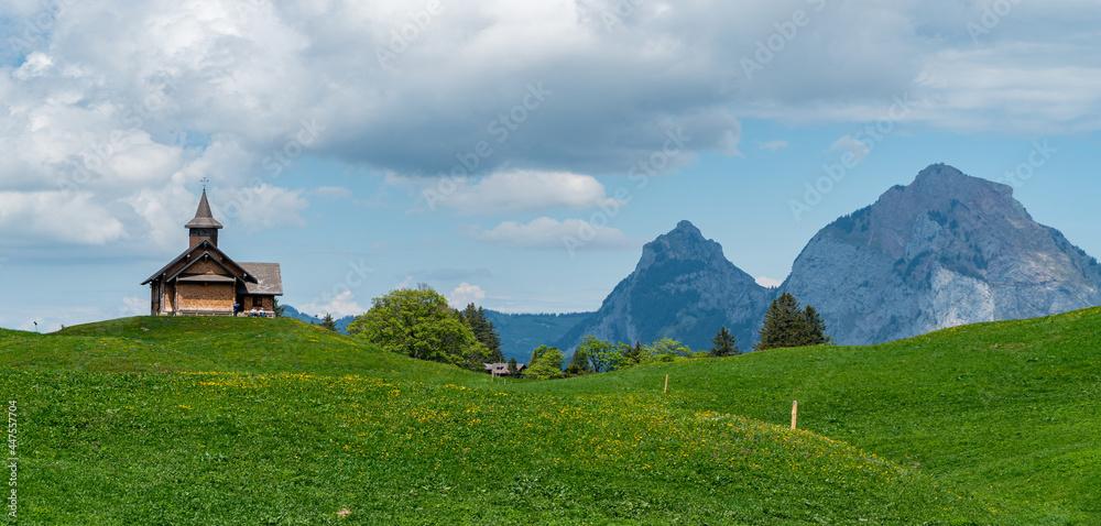 view from Stoos in the Swiss alps on a beautiful spring day with flowers around