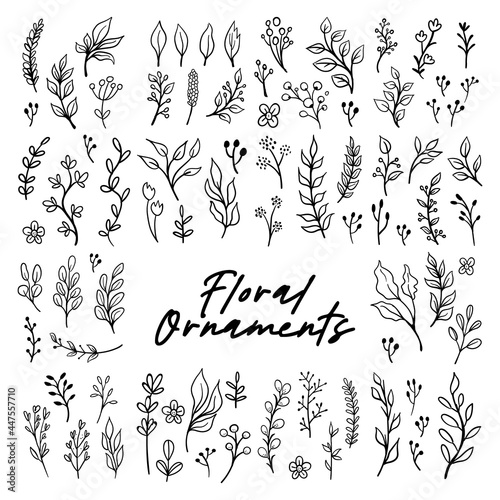 Floral graphic elements big vector doodle set. Flowers and plants hand drawn illustrations. Branches and leaves.