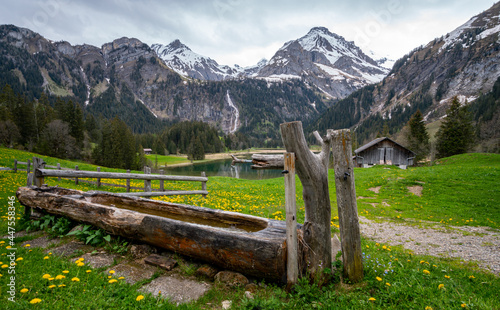 Lauenensee - Lauenen lake in the Swiss alps in spring with beautiful flowers around