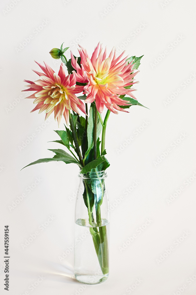 Red and yellow dahlia flowers in a glass bottle vase.