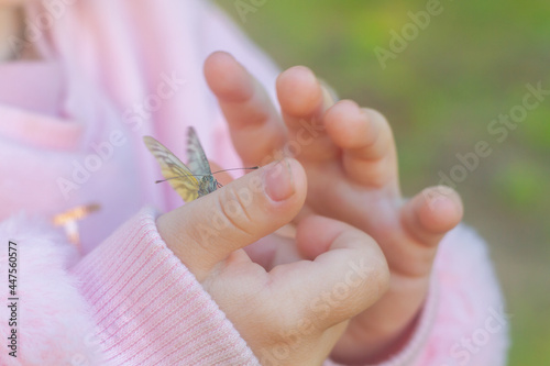 Canvas Print A child a girl in a pink jacket holds a white butterfly in her hand