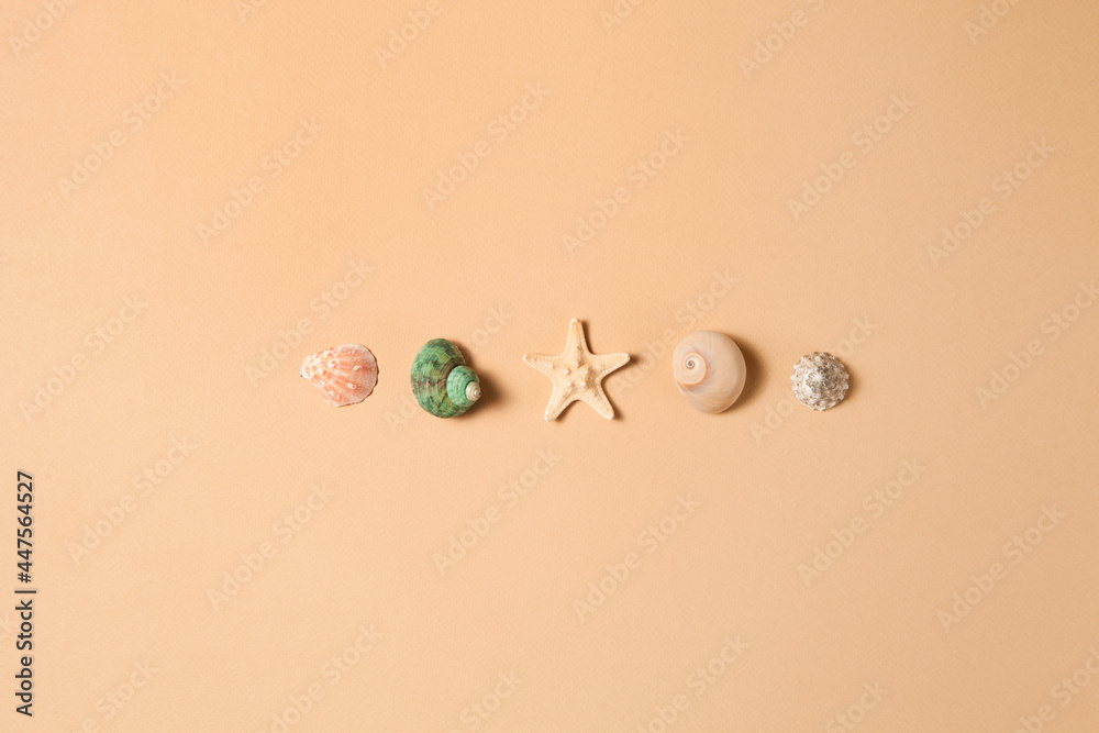 Seashells and starfish in line on brown background with space for text. Seashells and starfish in line on brown background with space for text.