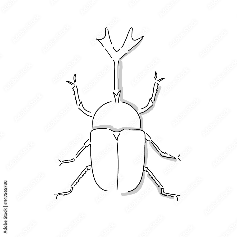 Japanese Insect Drawing Japanese beetle illustration. Hand drawn sketch. Japanese insects and ...