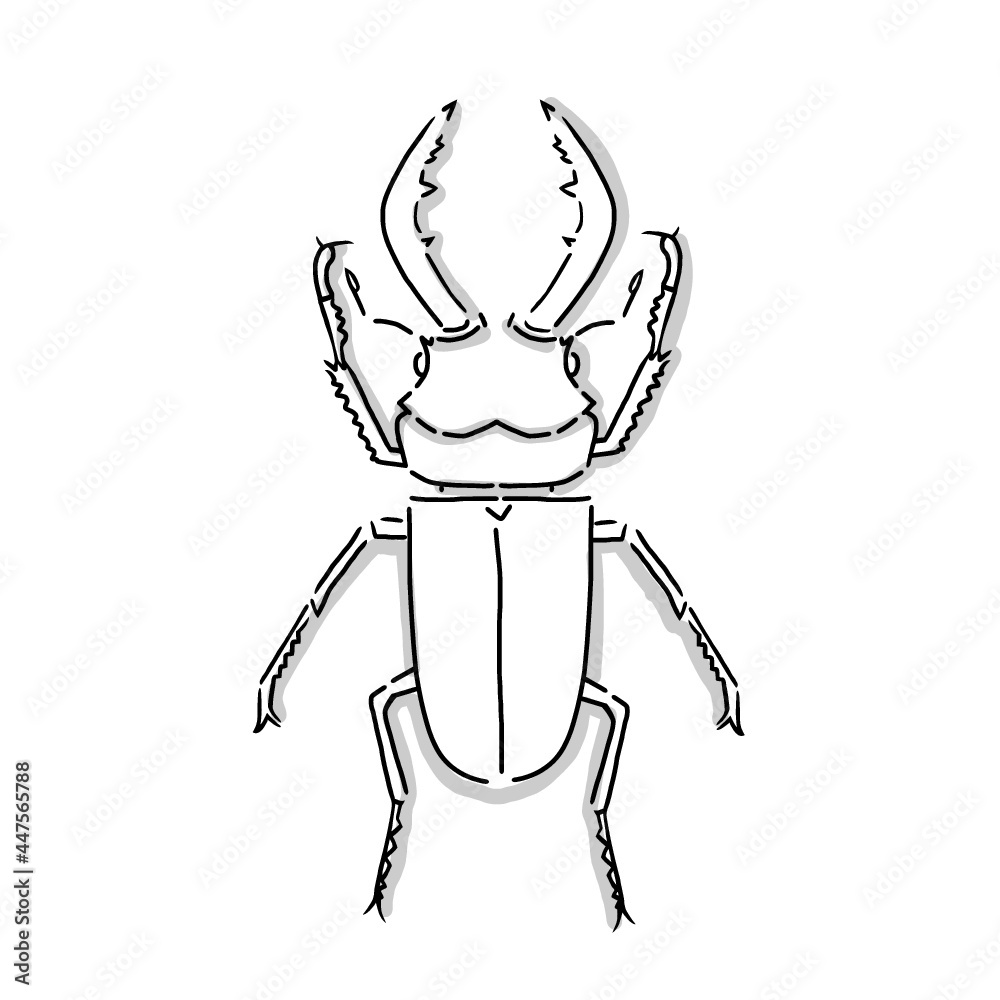 Japanese Insect Drawing Japanese beetle illustration. Hand drawn sketch. Japanese insects and ...