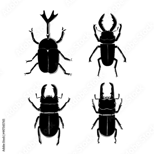 Japanese beetle illustration. Hand drawn sketch. Japanese insects and bugs collection. Vector illustration of Japanese icon. Graphic design elements. Isolated objects.  © Mizuho Call