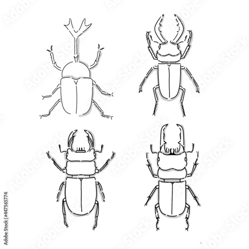 Japanese beetle illustration. Hand drawn sketch. Japanese insects and bug collection. Vector illustration of Japanese icon. Graphic design elements. Isolated objects. 