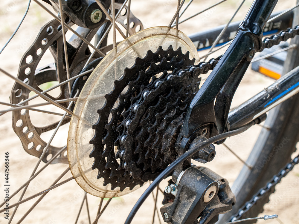 Fototapeta premium Sprockets rear derailleur on a bicycle, gear shift, 8 speeds, close-up