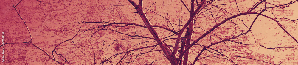 abstract violet and burgundy colors background abstract violet and burgundy colors background