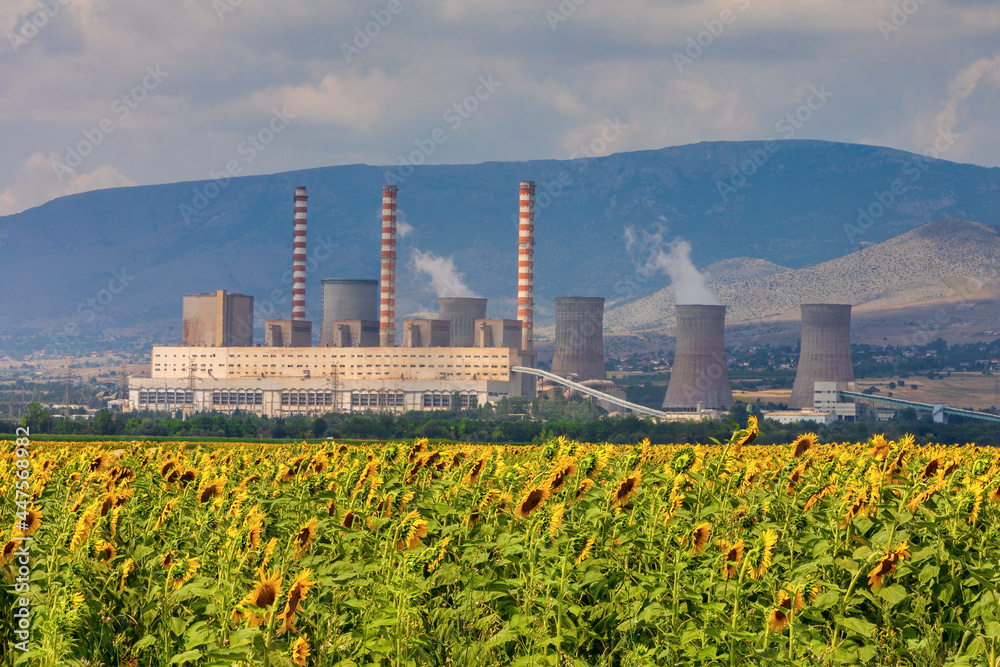 Obraz premium sunflower field and in the background a factory for the production of electricity