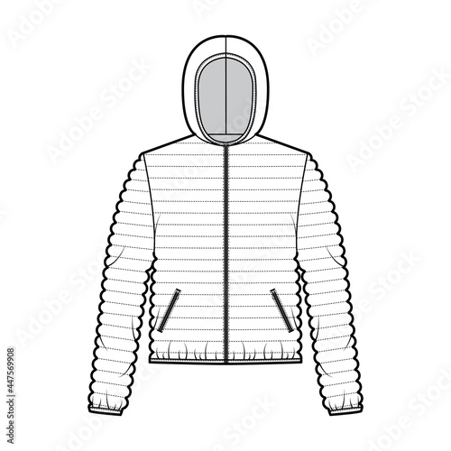 Hooded jacket Down puffer coat technical fashion illustration with long sleeves, zip-up closure, pockets, narrow quilting. Flat template front, white color style. Women, men, unisex top CAD mockup